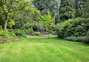 Optimiser l'expérience du jardin à Hagen