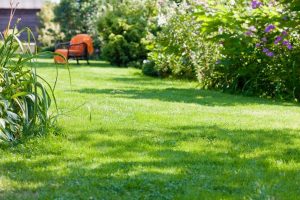 travaux jardin et paysage Hagen